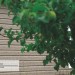 Сайдинг Ю-Пласт TIMBERBLOCK Пихта (Тимберблок) Cахалинская купить в Томске